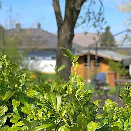 Hotel Altes Zehnthaus Geierlay Blankenrath